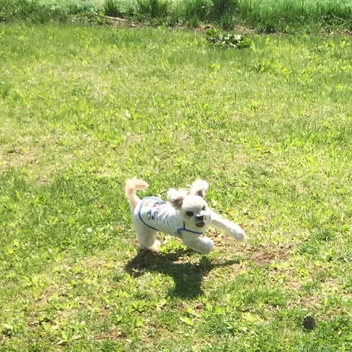 C893032d 9695 438b bbae 4602f688af3f