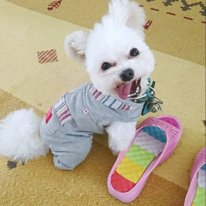 C89416aa 3bff 4d24 85b7 241e0d346423