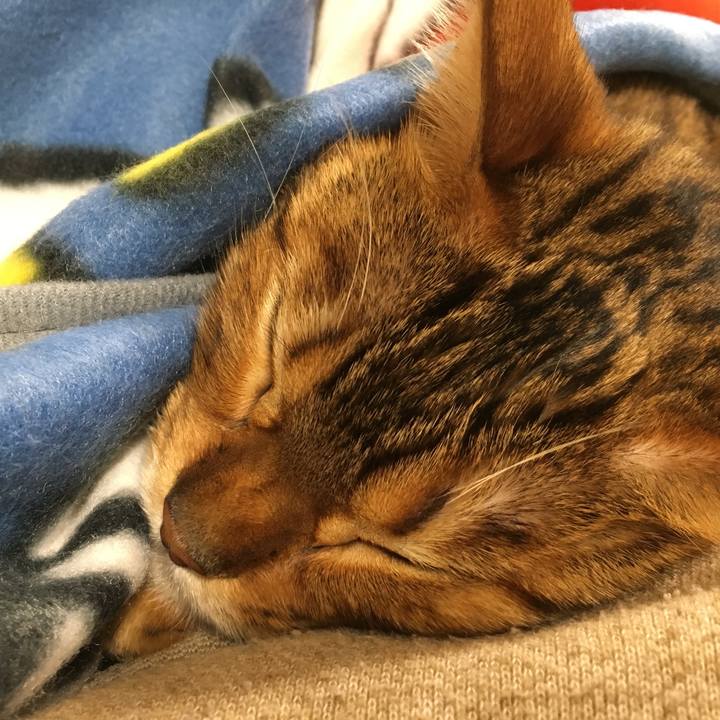 C89419b3 da7b 4a74 9b3c ae54b44fead2