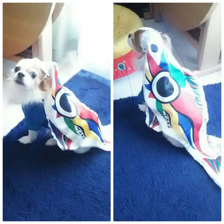 C8942f2d 846c 4d7c 8231 ee97f9d74c9d