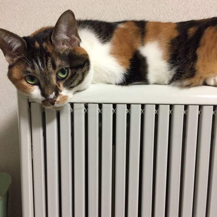 C8956371 79e9 4d9f b9ca 890853ad2175