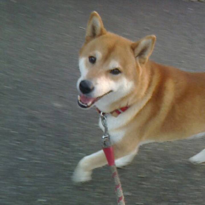 C89629aa 53d7 426c a607 2191dbea1768