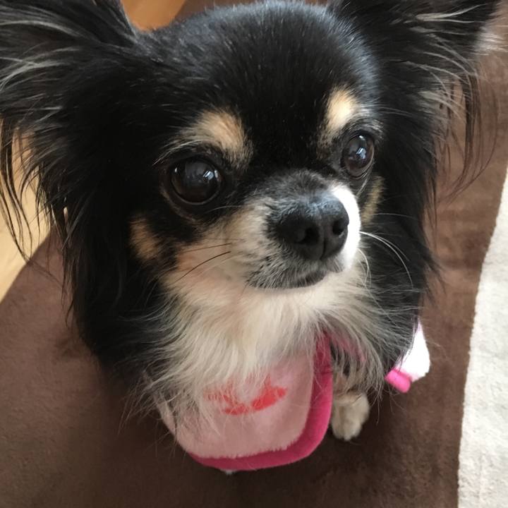 C896a62e 4cf9 43c5 8f94 988a9e3b7632