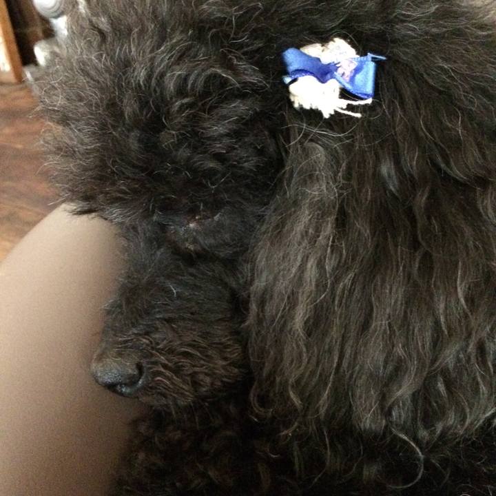 C896ce1d 6cac 4cb7 a0b4 2fc1037c0c10