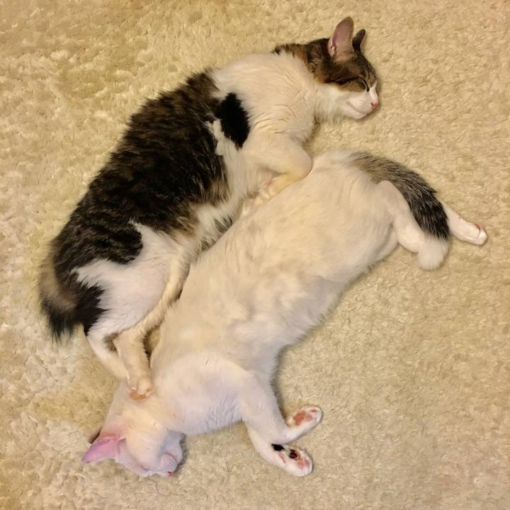 C89908b5 51be 443f 9064 1b0808a8741b