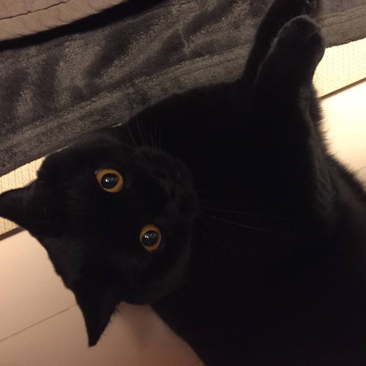 C899586b 2e3f 4ebc 9b0d 9deacc98f603