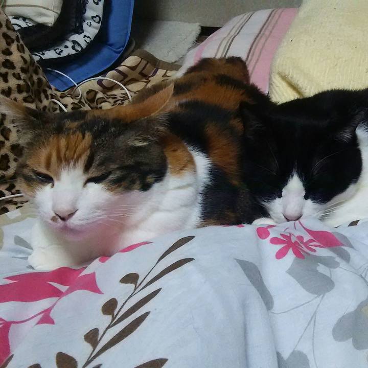 C899e096 9328 4dc9 a376 624009c1bcc2