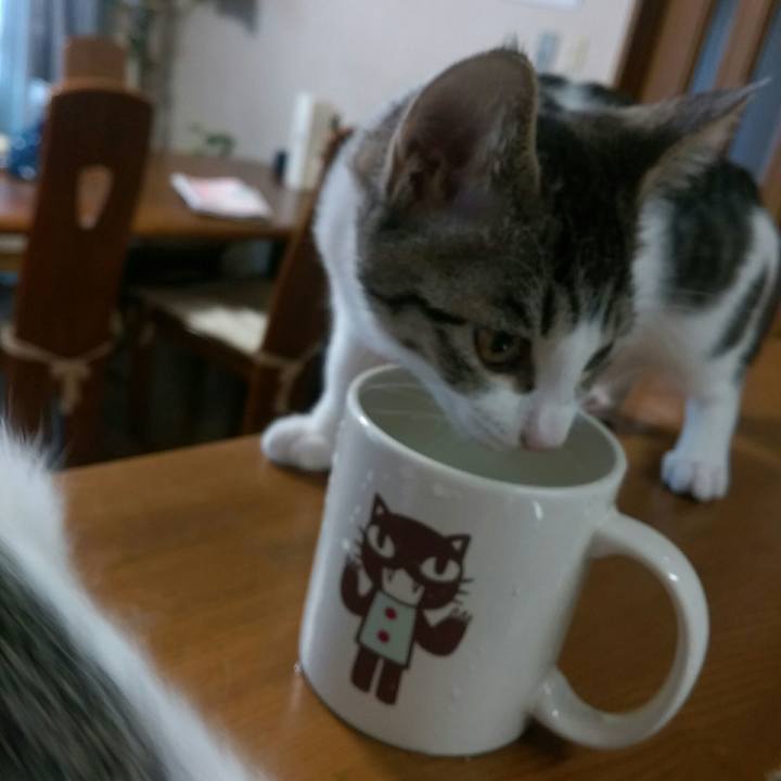 C89b1c65 9b55 49c6 80ae c41c243fa415