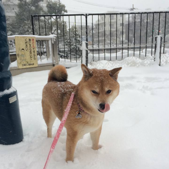 C89b1ea2 f971 4463 80b4 52591629297c