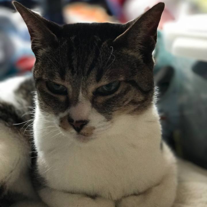 C89b2a7f 93f5 4b51 847d 5c6f5a9b310d