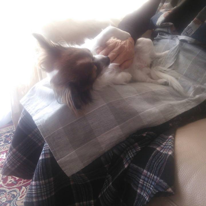 C89b6e8c 1b61 4f45 b8a2 66c6cbe8bc7d