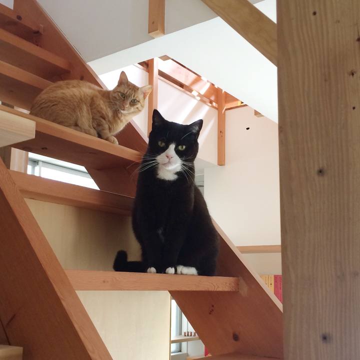 C89bb393 bfa7 45bd b79c 706fa30451b8