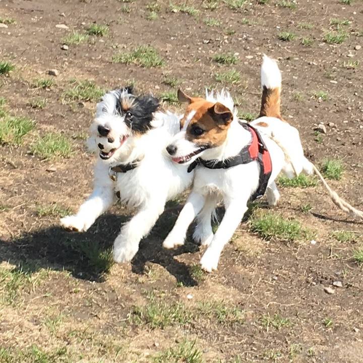 C89c00a5 d64f 4516 98a8 3d66fb1eb527