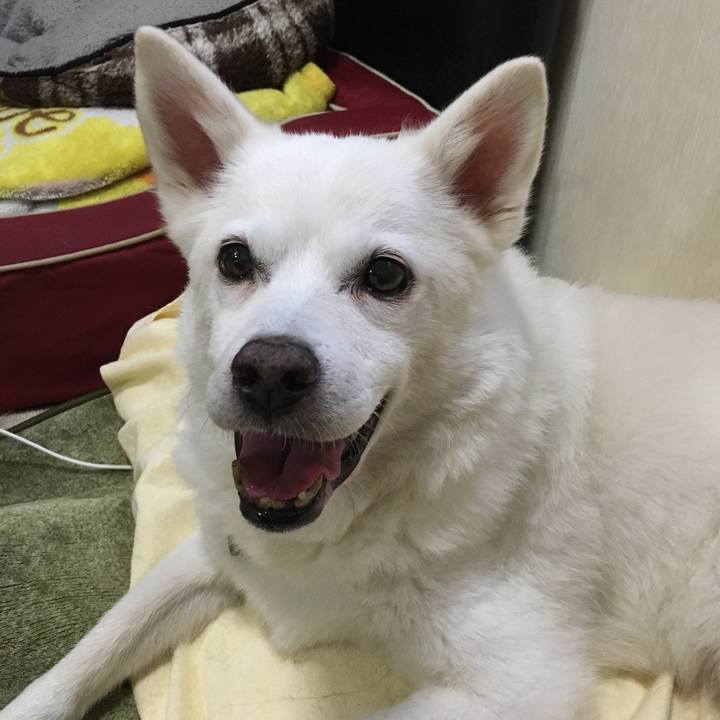 C89cfd51 70b7 426f 8bc2 51d99f59272a