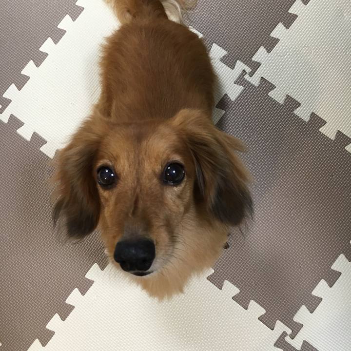 C89eb89e e8d9 459e 861c c46c8359d31c