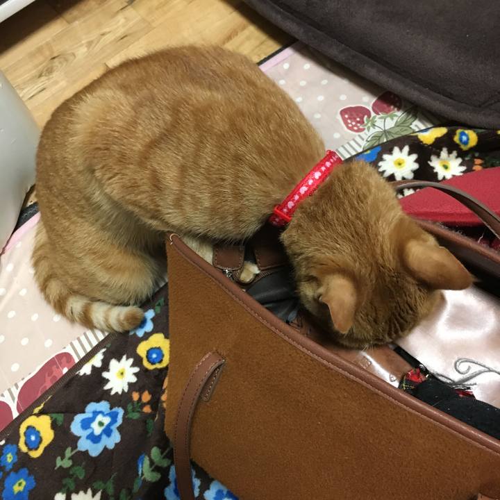 C89f12cb 9cbe 4160 a202 c12975c15e75