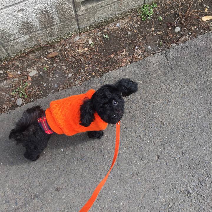 C89f4af3 e8e4 4e8d 9e0d e4001fbe1157