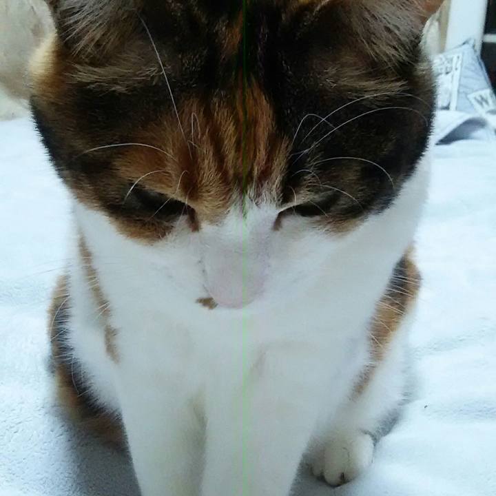 C89f7793 f2aa 41ce ab31 ed73a03d3391