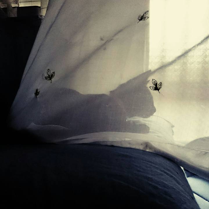 C89f8833 f919 41f2 aee6 f44d90aaad89