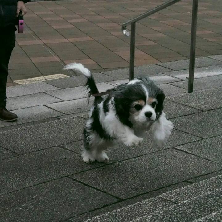 C8a055f7 e6e7 463c 8554 b19927b8bc9c