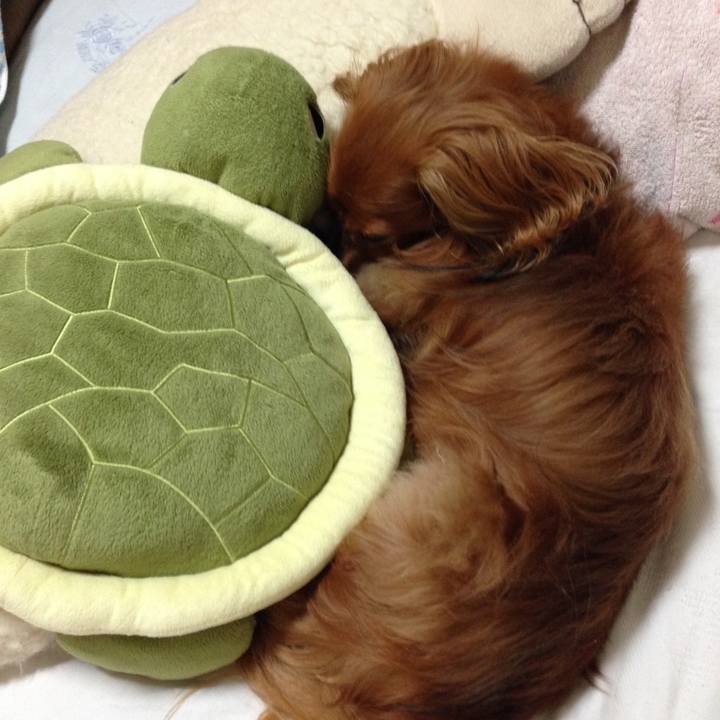 C8a0c1ff e41b 4c39 818b 83f2a34d4aeb