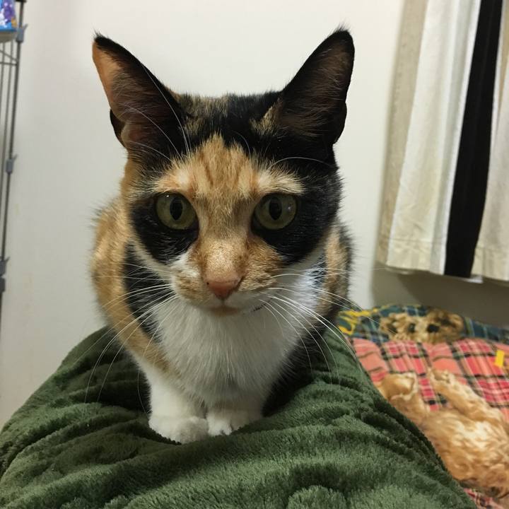 C8a0d1ef 7544 4d01 84a4 61f97e778ac7