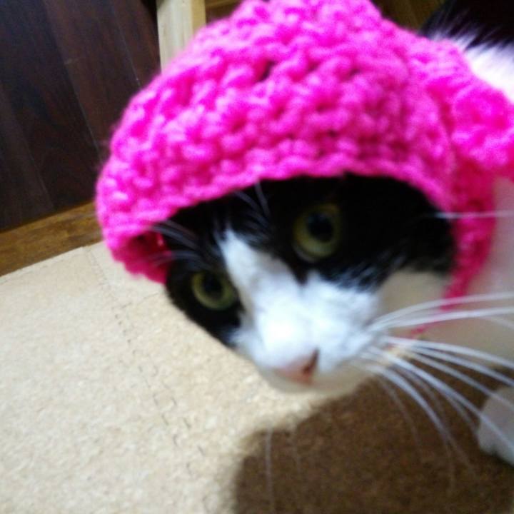 C8a10ec8 9da2 41dd b00c cadaa2794d0c