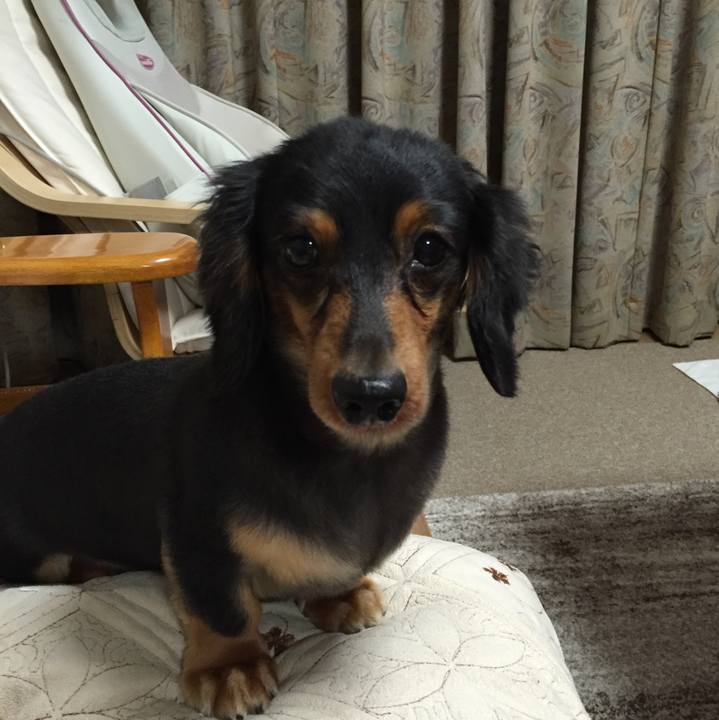 C8a154a3 50c1 4233 8a3a 038dab4484f6