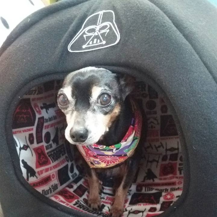 C8a15a9b f466 4c12 a5bf 7c3424f95299