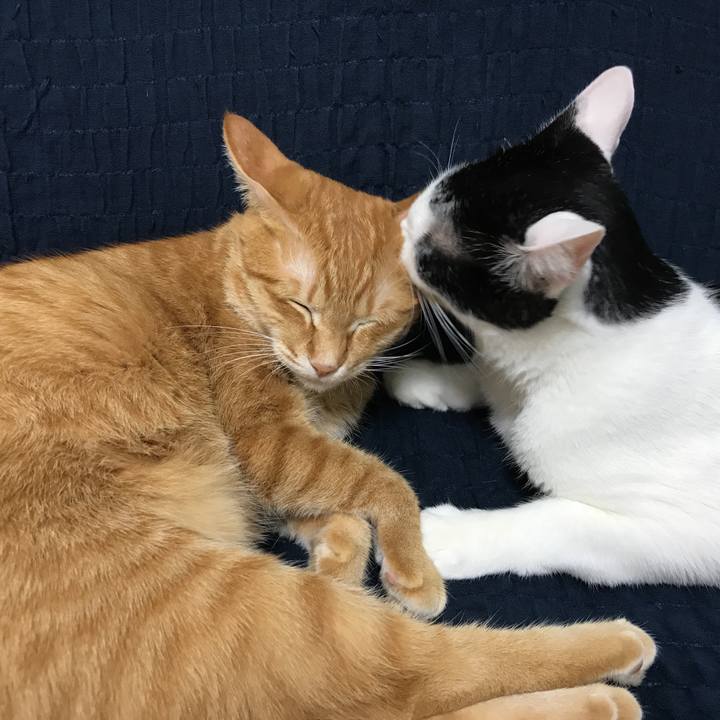 C8a1ddea 9064 4717 a74f 8d4ab75462e7