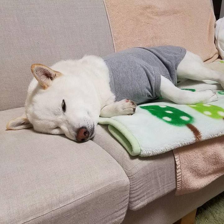 C8a22b19 87c9 45ce 9076 f64f78068ba9