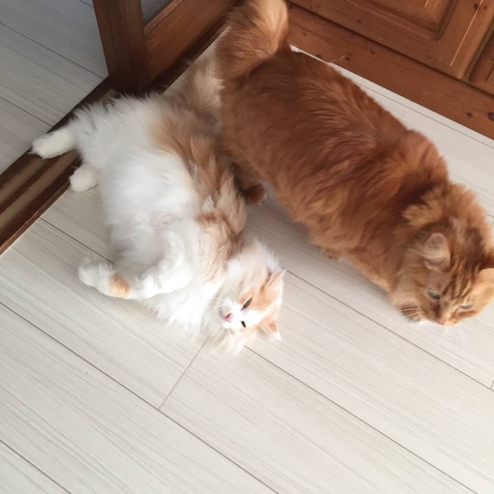 C8a35860 e80c 45c8 8d51 4b888346d7dd