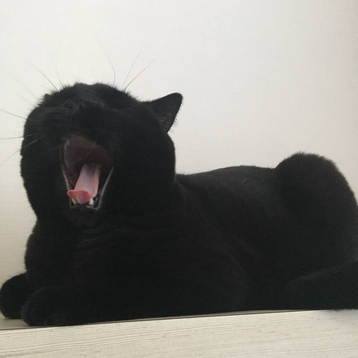 C8a3f002 142b 449a 89d4 6b8d1171528a