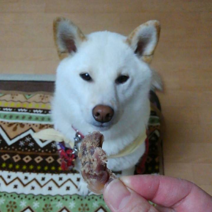 C8a3f2a9 f5d6 4c16 b85a 8cc5b3a448e7