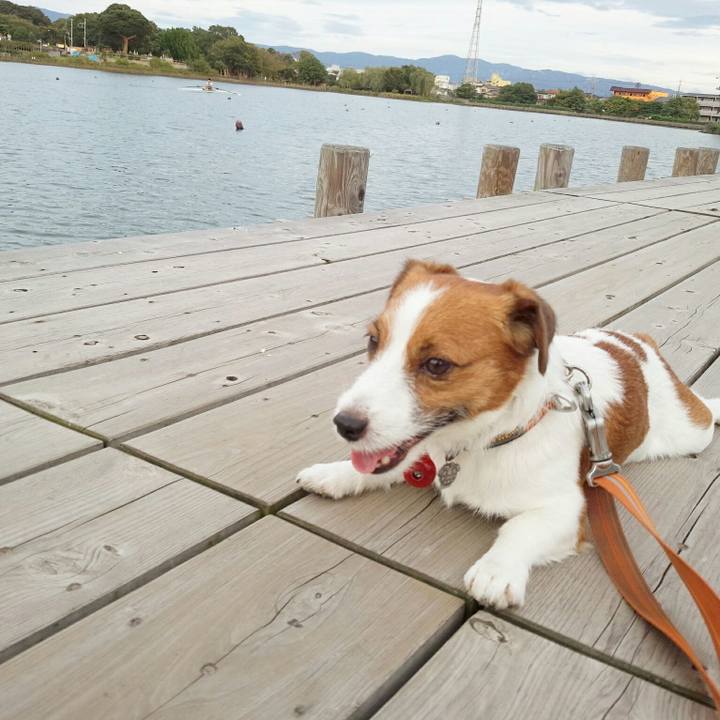 C8a403de 08c1 402e ba67 a6eca8a815c2