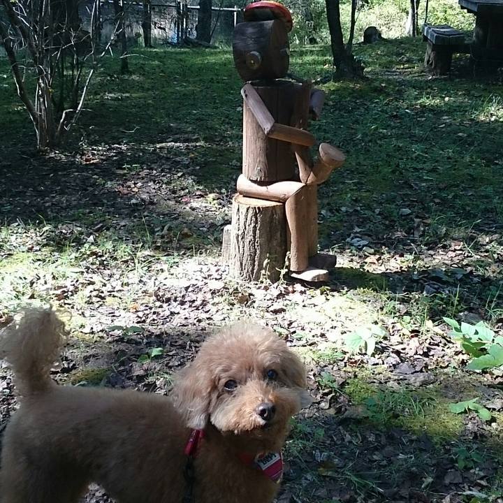 C8a523ae db24 40a4 ad1b e68a0d18c01b