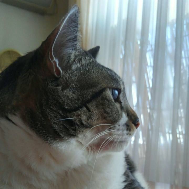 C8a5c16b 250d 4718 a9ee e1ce4a1a5cf9