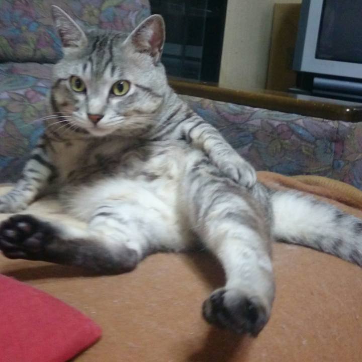 C8a657c9 2de3 4aa6 981e 6045415d00fc