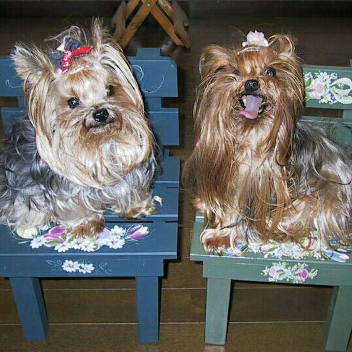 C8a6a31a f4b2 428c 8b20 26a39590178c