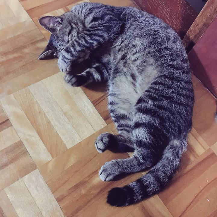 C8a6a5bb eae9 4e85 aba3 682b4970e91b