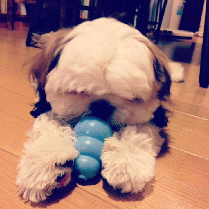 C8a74333 e7d7 4d4b 9e69 6f22a1a3d323