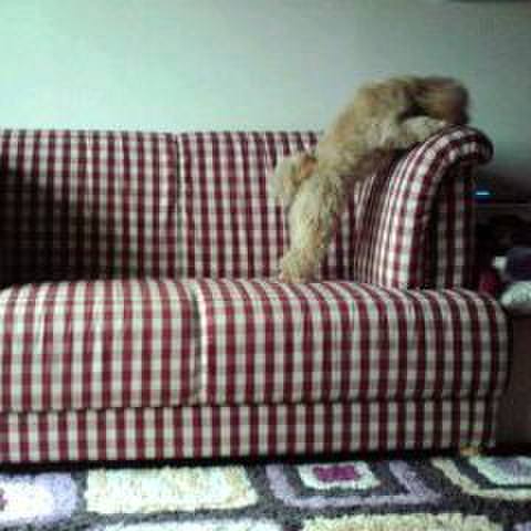 C8a751ee 9a86 462d 82f7 a7f41af292f5