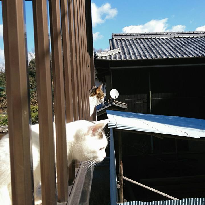 C8a77b4b ac0e 4a5d 8516 65c1dea68282