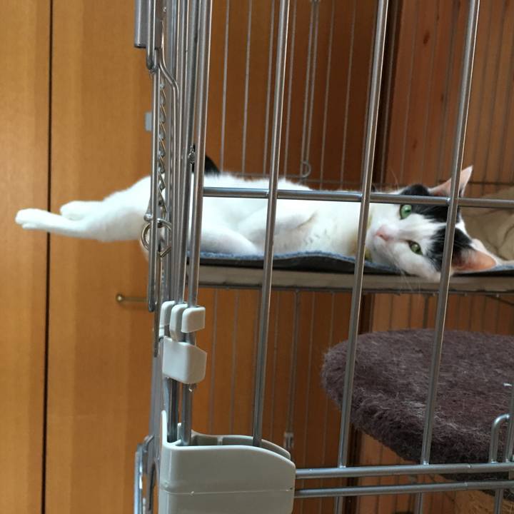 C8a7d2ad bd43 4164 8e00 97768674ab26