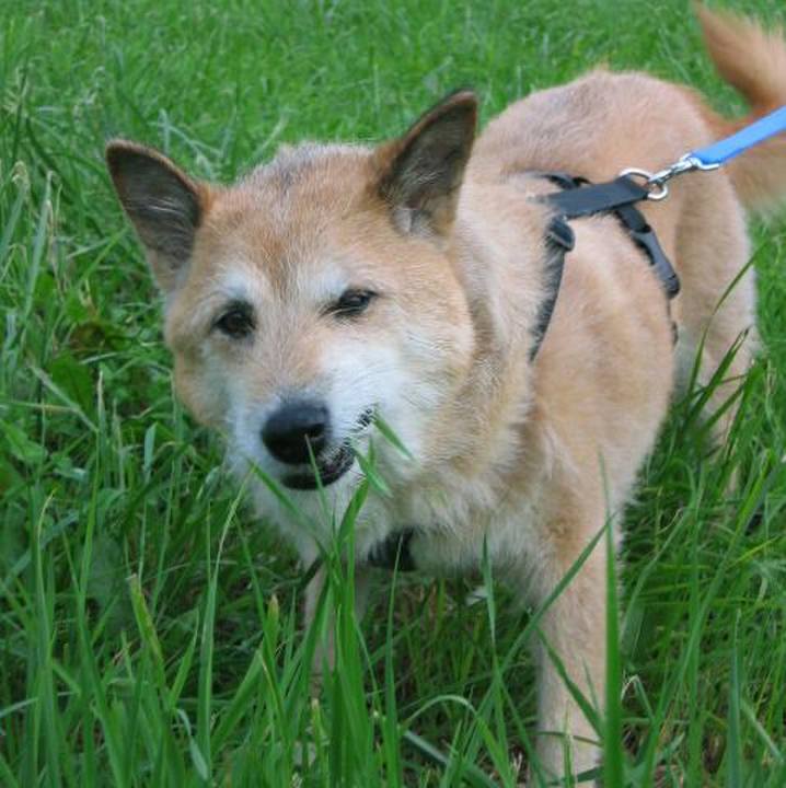 C8a844f1 47e9 462d 80a2 51616cccfcca