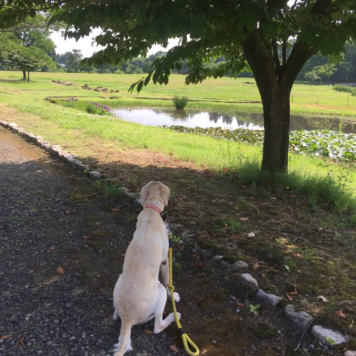 C8a8d8df a3c6 4653 9dfd e898d695152a