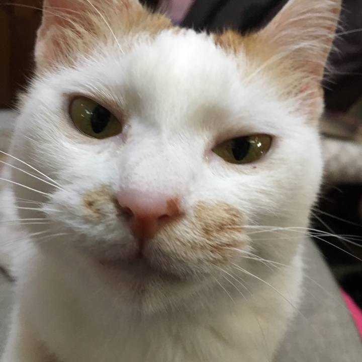 C8a9a41d 071f 44cb 9d7f e92fd4dbba68