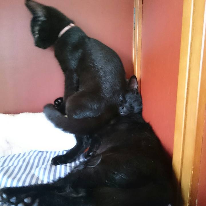 C8a9bb1e 1428 423e 80ec 3263433503fa