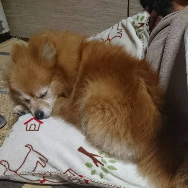 C8aa7e89 f1ad 4b56 b9f1 2a77fe0e0874