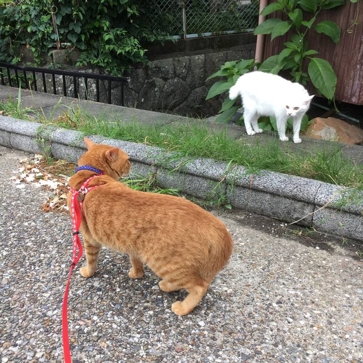 C8aa8d26 d944 46dd baf9 8ffcbfc48bd3